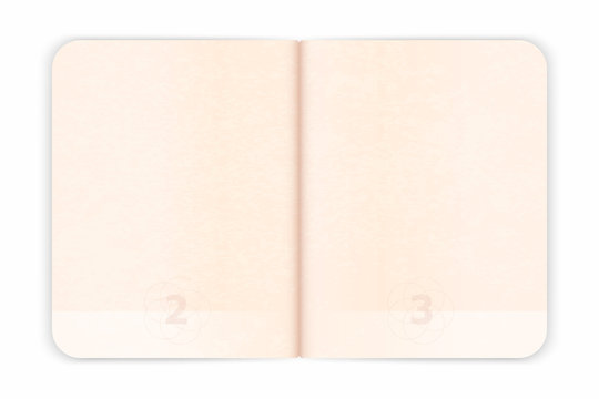Vector Passport Blank Pages For Visa Stamps. Empty Passport With Watermark
