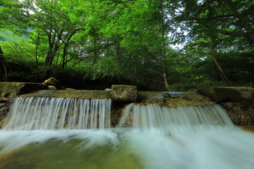 夏の逢滝