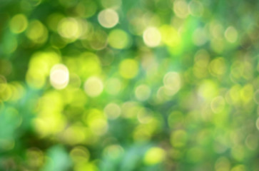 Green bokeh backgorund