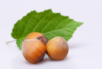 Hazelnuts