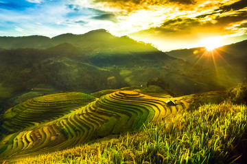 Rice fields on terraced of Mu Cang Chai, YenBai, Vietnam. Vietnam landscapes.