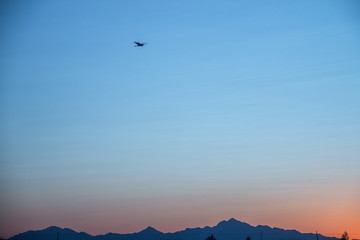 A silhouette of a bird and a mountain