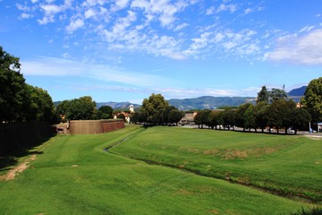 View of the green field near the road.