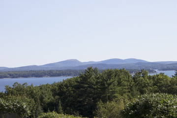 Ocean and Mountain Behind Trees