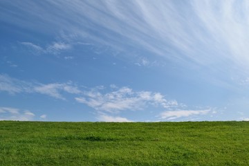 Fototapeta premium 9月の空 芝生と青空