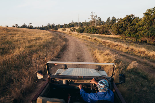 Fototapeta Man traveling through safari in the car 