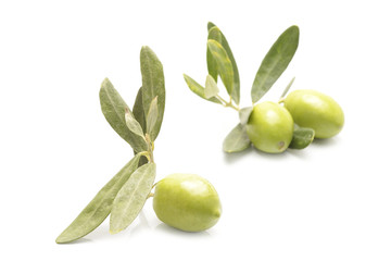 green olives on branch with leaves isolated on white