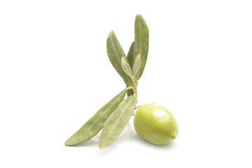 green olives on branch with leaves isolated on white