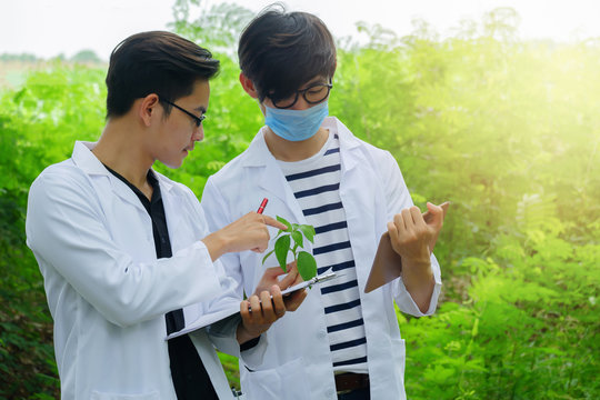 Two young Biology researcher with a clipboard, pen and tablet examining plant leaf for keep specifics data in a nature park, Copy space