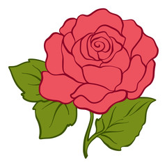 Isolated red rose with green leaves. Stock line vector illustrat