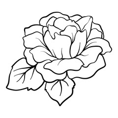 Isolated rose. Outline drawing. Stock vector illustration.