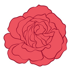 Isolated red rose. Stock vector illustration.