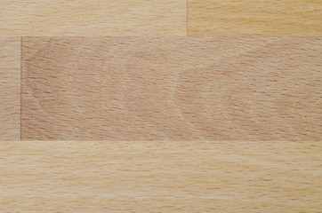Detailed photo of the structure of natural beech wood boards