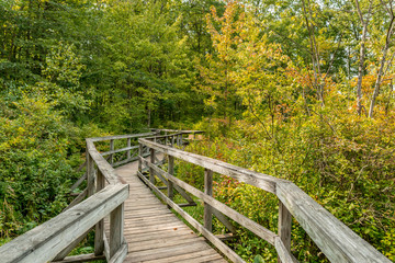 A wooden bridge in the woods, nature perverse hiking trail. 