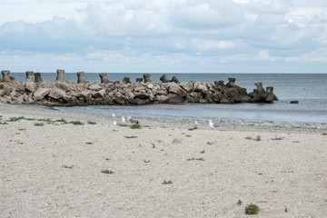 Landscape with seagulls, sea view with breakwaters, waves and sea shells, clouds, photographed in Gura Portitei, Romania, in cloudy summer day