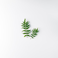Nature Minimal Concept