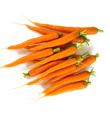 fresh carrots on white background