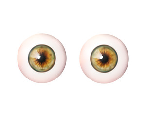 Couple realistic eyeball. Human eye. Vector illustration icon isolated on white.