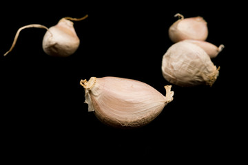 Garlic Isolated on the Black Background.