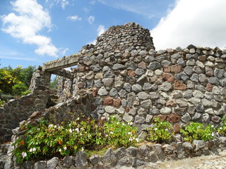 Flowers-Bids-Mountains