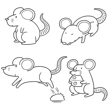 vector set of mouse