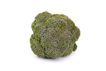 Fresh broccoli isolated on white background