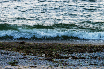 波打ち際