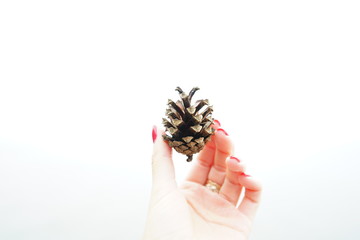 Pinecone