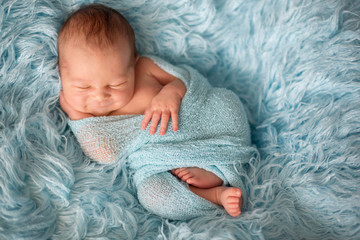 Happy smiling newborn baby in wrap, sleeping happily in cozy fur © Tomsickova