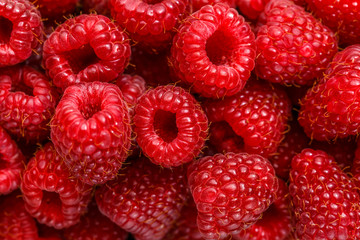 Close up photo of fresh raspberry