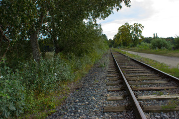 Fototapeta na wymiar Railway tracks lead by nature