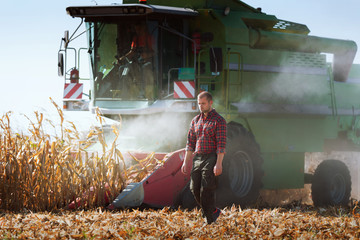 Harvesting of corn field with combine