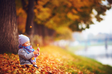 cute little baby girl sitting in autumn fallen leaves
