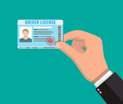 Car driver license identification card with photo.