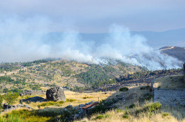 Fire in progress at Serra da Estrela, Portugal