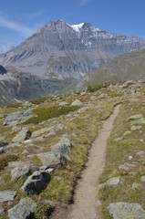Fototapeta na wymiar Sentier dans le Parc National de la Vanoise, Alpes Françaises
