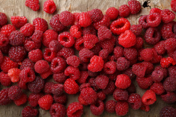 Berry background