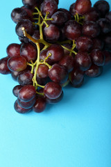 Bunch of grapes on blue