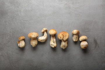 Gray food background with mushrooms