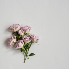 Festive greeting card with wild roses