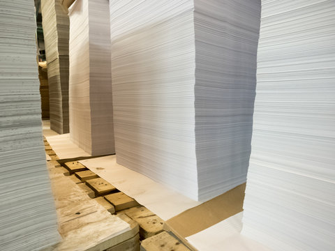 Sheets of sliced lined paper for the production of notebooks.