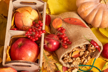 Fruits and vegetables on fallen leaves background, autumn season