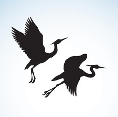 Stork. Vector drawing