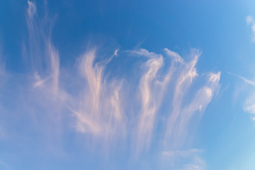 Fototapeta na wymiar cirrus cloud with blue sky.