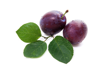 Group of ripe plums with leaf isolated on a white background.