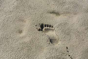 Fußabdruck an Sandstrand
