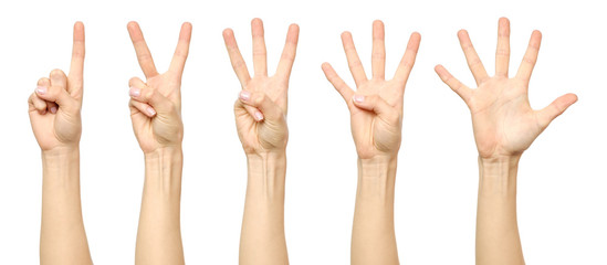 Female hand counting from one to five