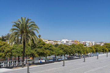 Seville(Sevilla), Andalucía, Spain