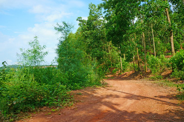 Obraz premium Sunshine and shade on the road through the hills