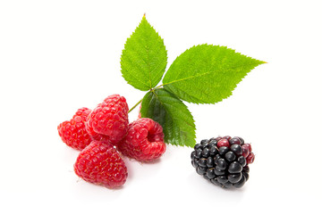Ripe raspberries with leaf and blackberry isolated on white background.